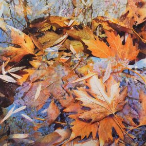 Autumn Reflection II