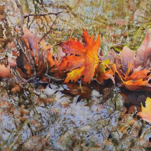 Autumn Reflection IV