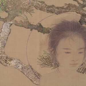 Hidden Among Pines II