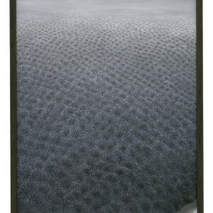 Snowfall on Lush Trees